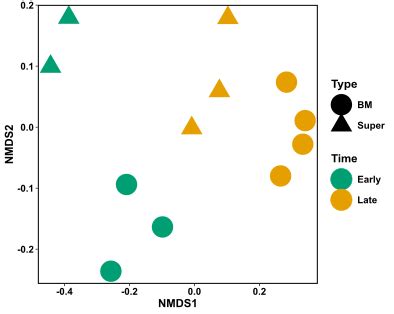 how to increase nmds in r.